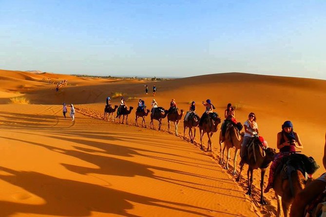 Shared 3 Days Desert Tour from Marrakech To Fes